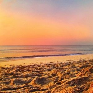 Meet your Posher, Zoey